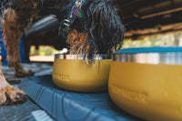 Ruffwear Basecamp™ Bowl